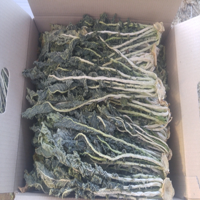 썸네일(스크롤)